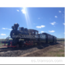 Parque Paseos de tren sin rumbo al aire libre con varios tipos